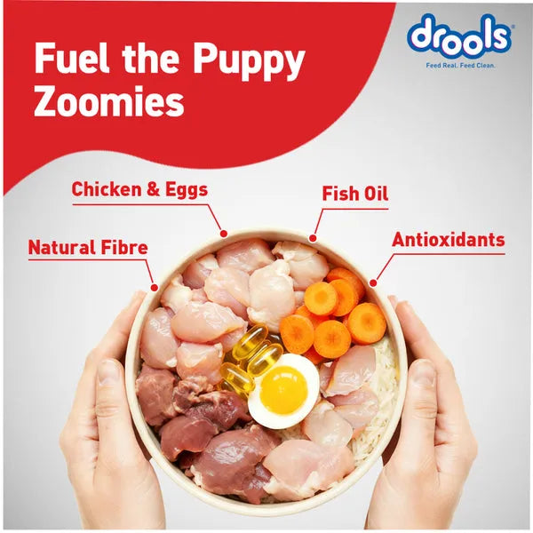 Drools Chicken and Egg Puppy Dog Dry Food
