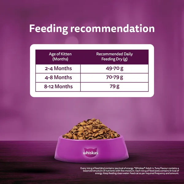 Whiskas Ocean Fish Kitten Cat Dry Food | 1.1 KG | 3 KG