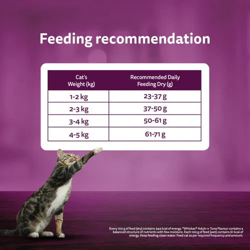 Whiskas Ocean Fish Flavour Adult Cat Dry Food | 1.2 KG | 3 KG