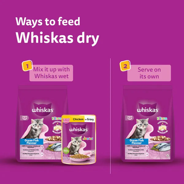 Whiskas Ocean Fish Kitten Cat Dry Food | 1.1 KG | 3 KG