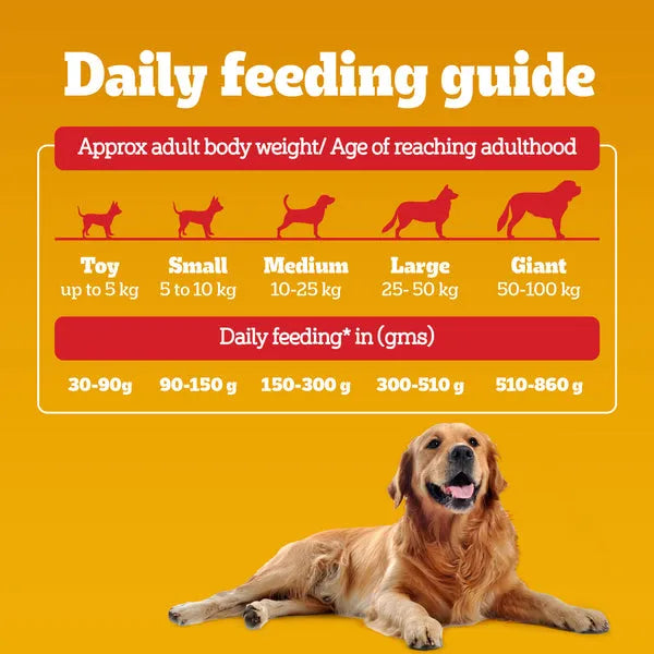 Pedigree Meat & Rice Adult Dog Dry Food | 1 KG | 2.5 KG | 10 KG
