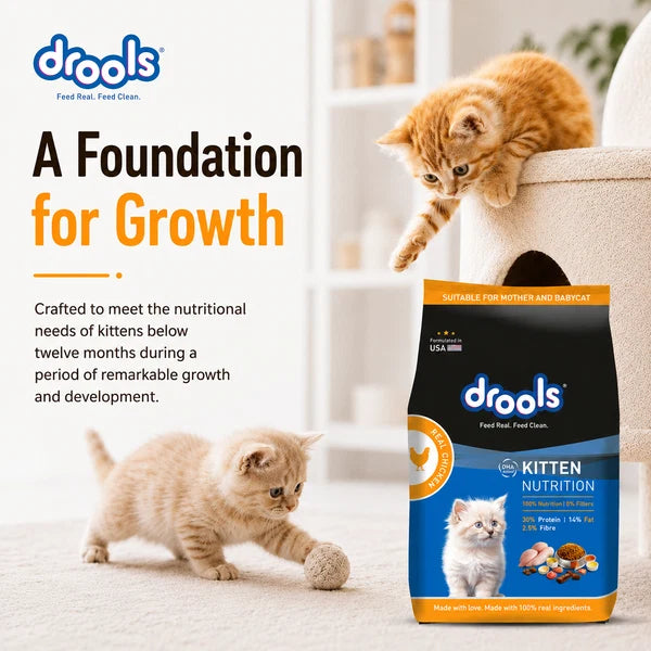 Drools Real Chicken Kitten Dry Food | 1.2 KG