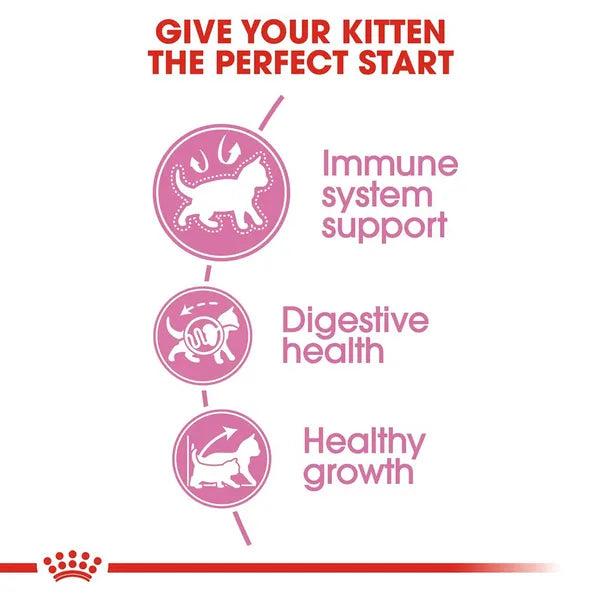 Royal Canin Mother & Babycat Cat Dry Food | 2 KG