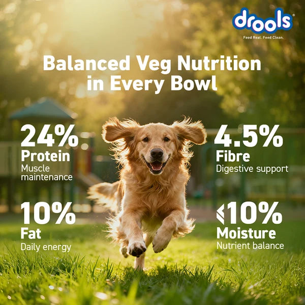 Drools 100% Vegetarian Puppy and Adult Dog Veg Dry Food (All Life Stages)
