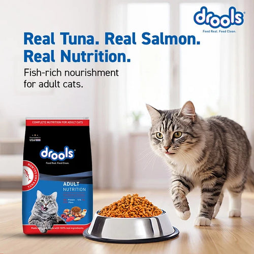 Drools Tuna & Salmon Adult Dry Cat Food | 3 KG