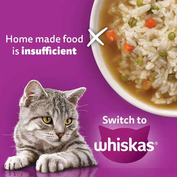 Whiskas Chicken Flavour Cat (Adult 1+) Dry Food | 1.2 KG | 3 KG