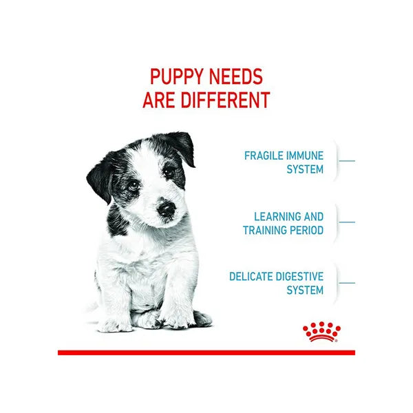 Royal Canin Mini Puppy Dog Dry Food