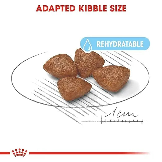 Royal Canin Mini Starter, Mother & Babydog Dry Food