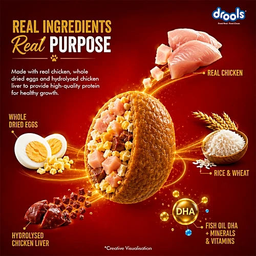 Drools Chicken and Egg Puppy Dog Dry Food
