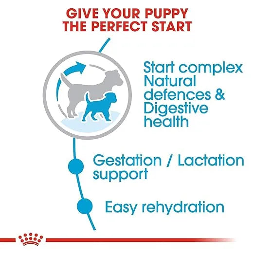 Royal Canin Mini Starter, Mother & Babydog Dry Food