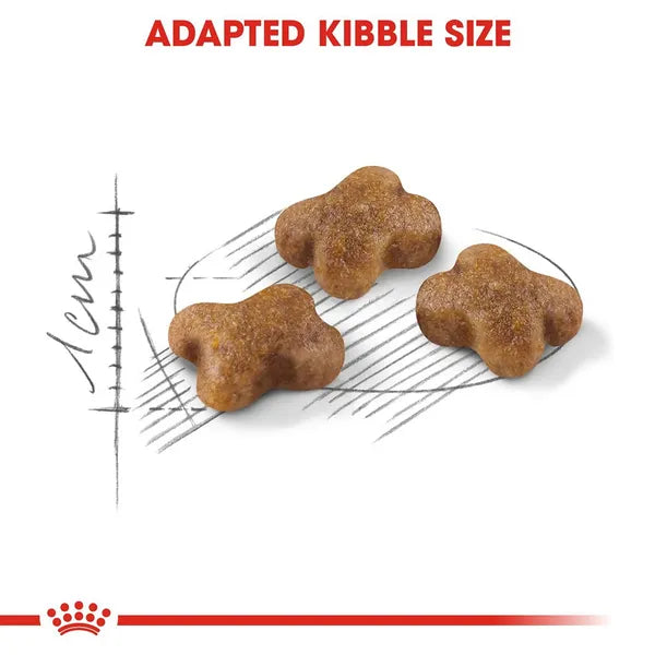 Royal Canin Mother & Babycat Cat Dry Food | 2 KG