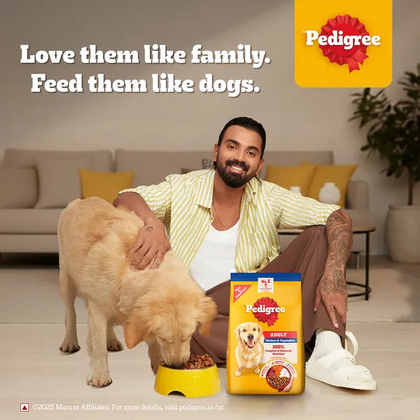 Pedigree Chicken and Vegetables Adult Dog Dry Food