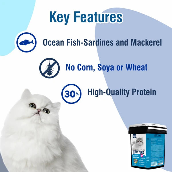 Kitty Yums Ocean Fish Persian Cat Dry Food | 1.2 KG | 3 KG