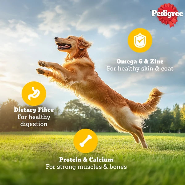 Pedigree Chicken and Liver Chunks in Gravy Adult Dog Wet Food