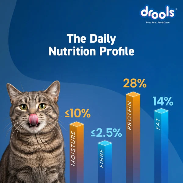 Drools Tuna & Salmon Adult Dry Cat Food | 3 KG