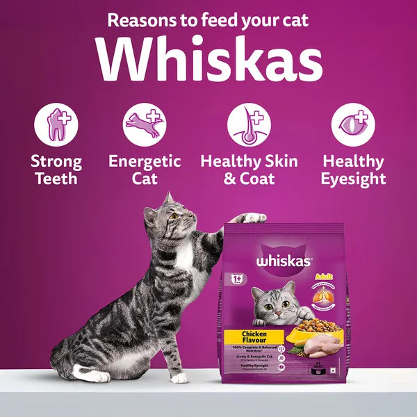Whiskas Chicken Flavour Cat (Adult 1+) Dry Food | 1.2 KG | 3 KG