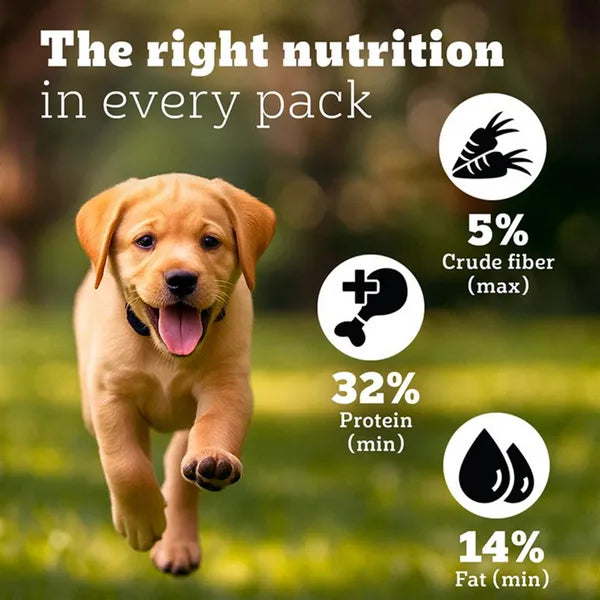 Pedigree PRO Expert Nutrition for Large Breed Puppy (3 to 18 Months) Dog Dry Food | 10 KG