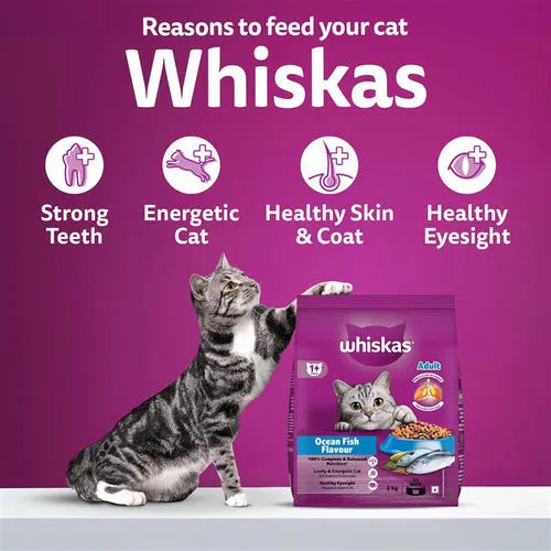 Whiskas Ocean Fish Flavour Adult Cat Dry Food | 1.2 KG | 3 KG