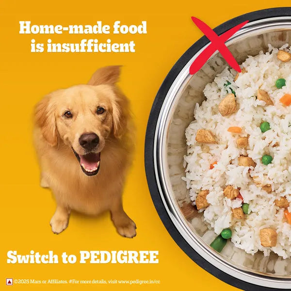 Pedigree Meat & Rice Adult Dog Dry Food | 1 KG | 2.5 KG | 10 KG