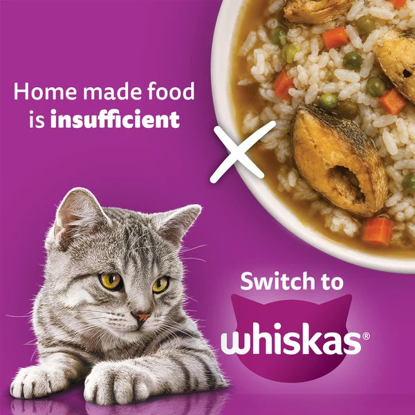 Whiskas Catla Fish Flavour Adult Cat Dry Food | 1.2 KG