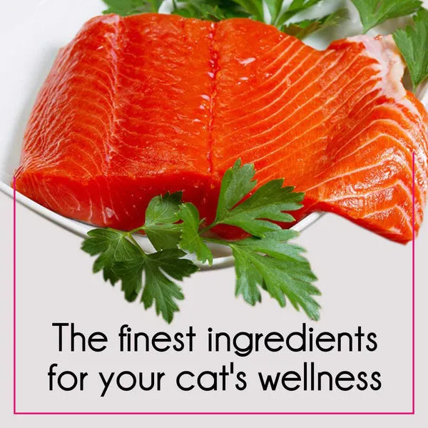 Purepet Tuna and Salmon Adult Cat Dry Food | 2.8 KG | 6 KG