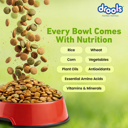 Drools 100% Vegetarian Puppy and Adult Dog Veg Dry Food (All Life Stages)