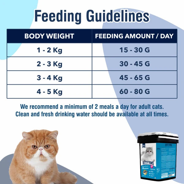 Kitty Yums Ocean Fish Persian Cat Dry Food | 1.2 KG | 3 KG