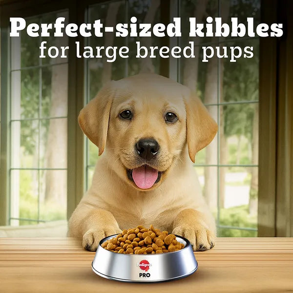 Pedigree PRO Expert Nutrition for Large Breed Puppy (3 to 18 Months) Dog Dry Food | 10 KG