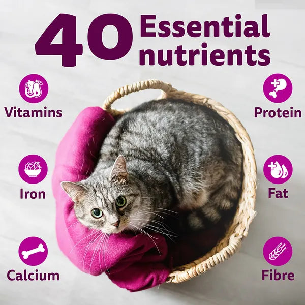 Whiskas Rohu Fish Flavour Adult Cat Dry Food | 1.2 KG