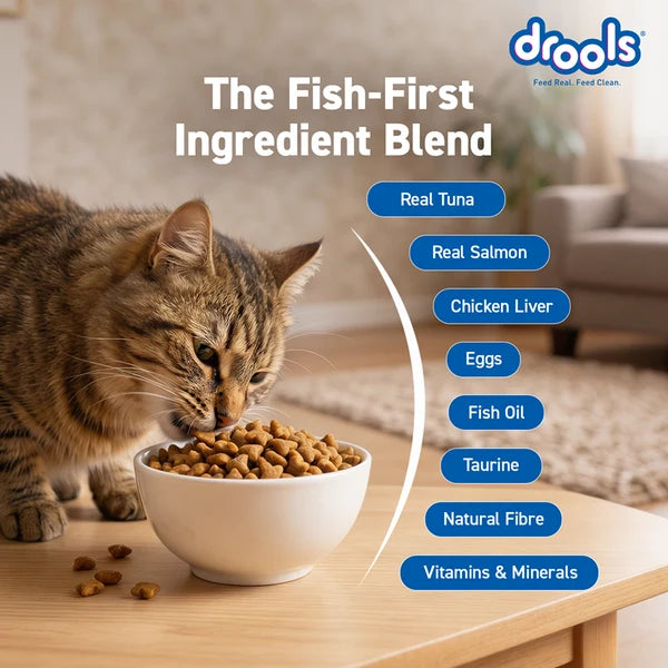 Drools Tuna & Salmon Adult Dry Cat Food | 3 KG
