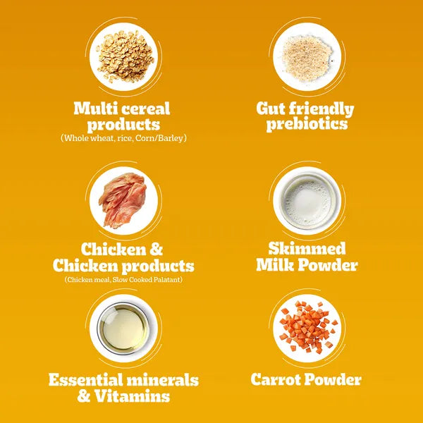 Pedigree Chicken and Milk Puppy Dog Dry Food
