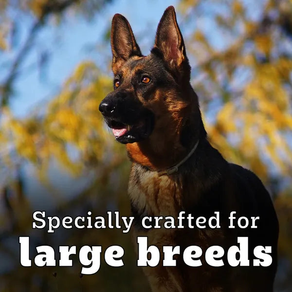 Pedigree PRO Expert Nutrition Active Adult (18 Months Onwards) Large Breed Dog Dry Food