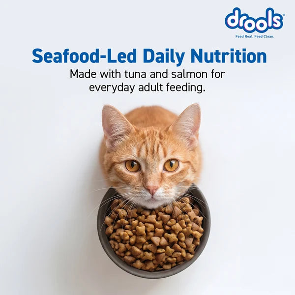 Drools Tuna & Salmon Adult Dry Cat Food | 3 KG