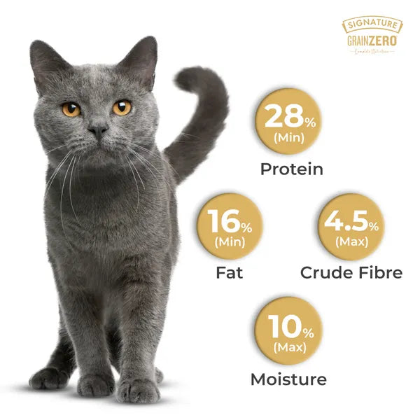 Signature Grain Zero Ocean Fish, Sardine and Mackerel Adult Cat Dry Food | 3 KG
