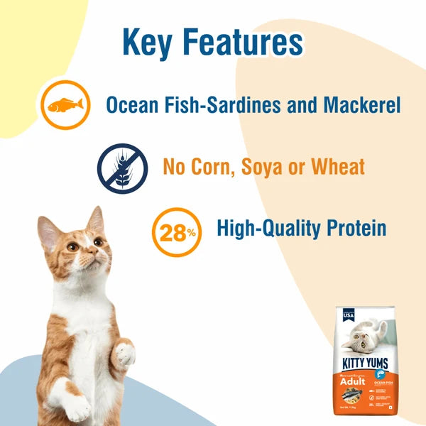 Kitty Yums Ocean Fish Adult (1+ years) Cat Dry Food | 1.2 KG | 3 KG