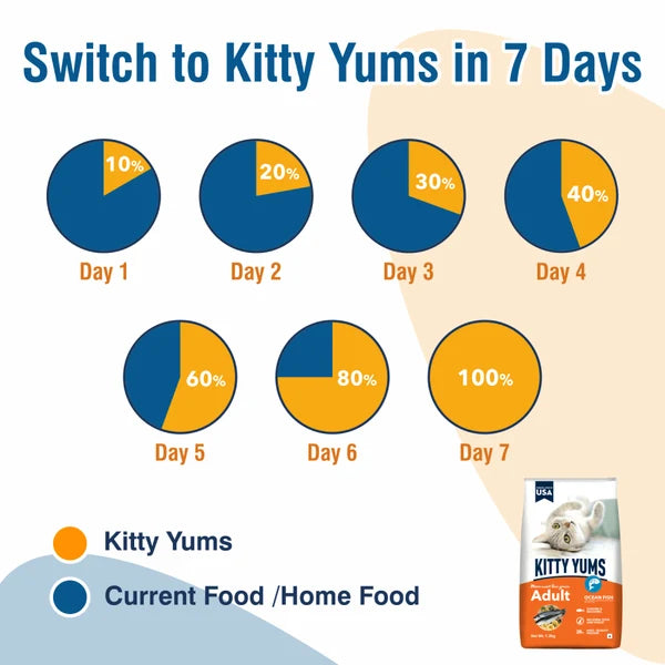 Kitty Yums Ocean Fish Adult (1+ years) Cat Dry Food | 1.2 KG | 3 KG