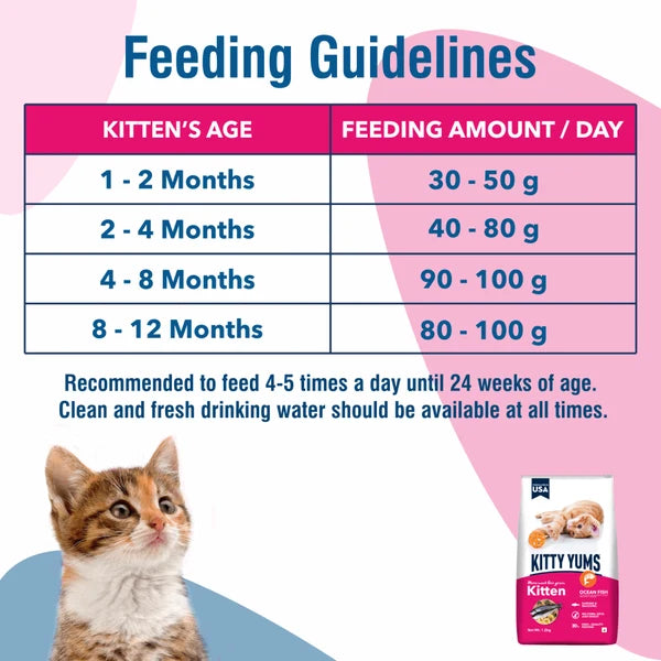 Kitty Yums Ocean Fish Kitten (1 to 12 Months) Cat Dry Food | | 1.2 KG | 3 KG