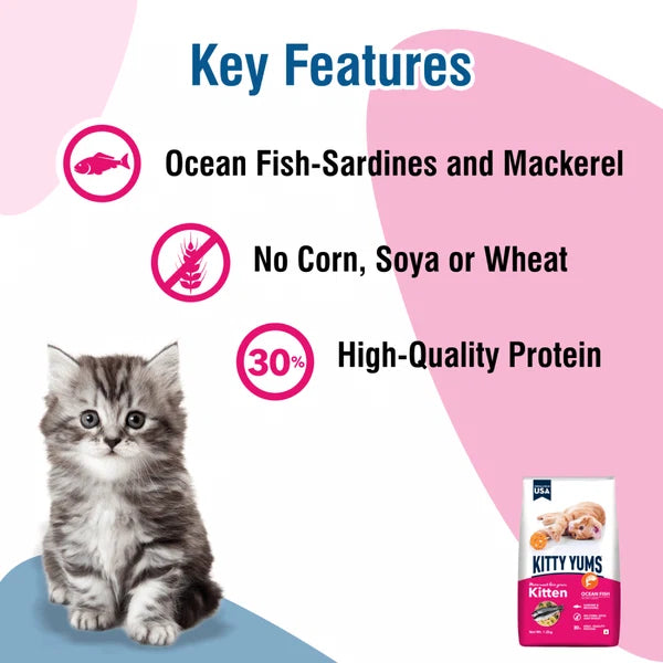 Kitty Yums Ocean Fish Kitten (1 to 12 Months) Cat Dry Food | | 1.2 KG | 3 KG