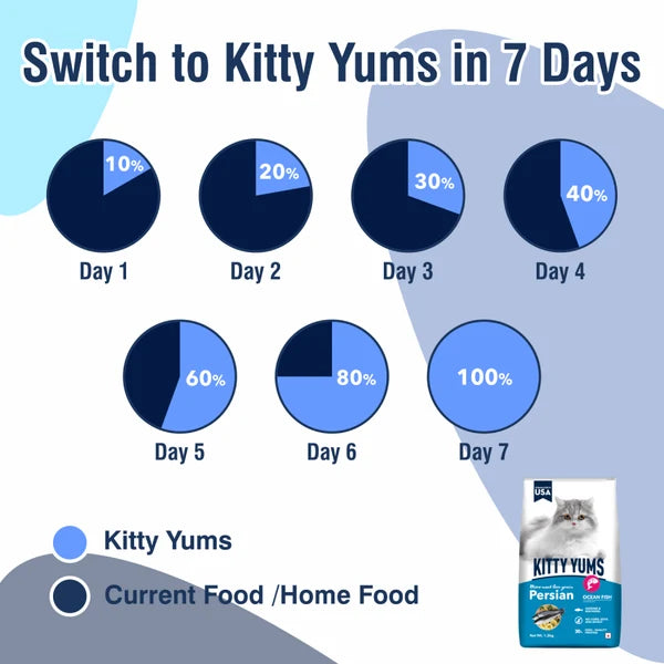 Kitty Yums Ocean Fish Persian Cat Dry Food | 1.2 KG | 3 KG