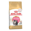 Royal Canin Persian Kitten Food Dry Cat Food | 2 KG | 4 KG