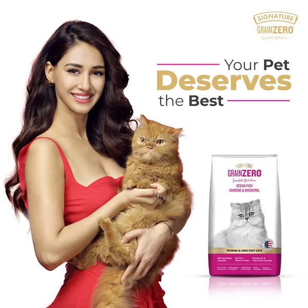Signature Grain Zero Ocean Fish, Sardine and Mackerel Long Coat & Persian Adult Cat Dry Food | 1.2 KG | 3 KG