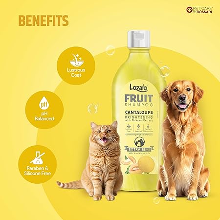 Lozalo Fruit Pet Shampoo 200 ml | Cantaloupe | pH Balanced | Paraben Free Conditioning Shampoo for Dogs & Cats of All Breeds