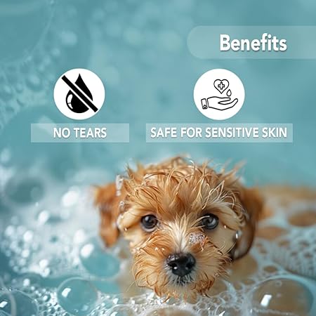 Oh My Dog Ultimate Pet Shampoo Paraben Free Cat & Puppy Mild Shampoo For Puppies & Dogs