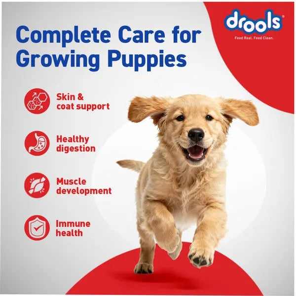 PUPPY STARTER PACK 
Drools Puppy Food | Schmackos Stix | JerHigh Treat | Mild Shampoo