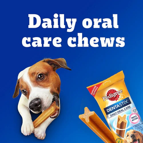 Complete Adult Dog Care Combo
Food | Dental Care | Wet Food | Shampoo