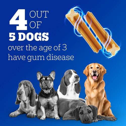 Ultimate Dog Care Combo 
Food | Treats | Dental Care | Grooming | Wet Food