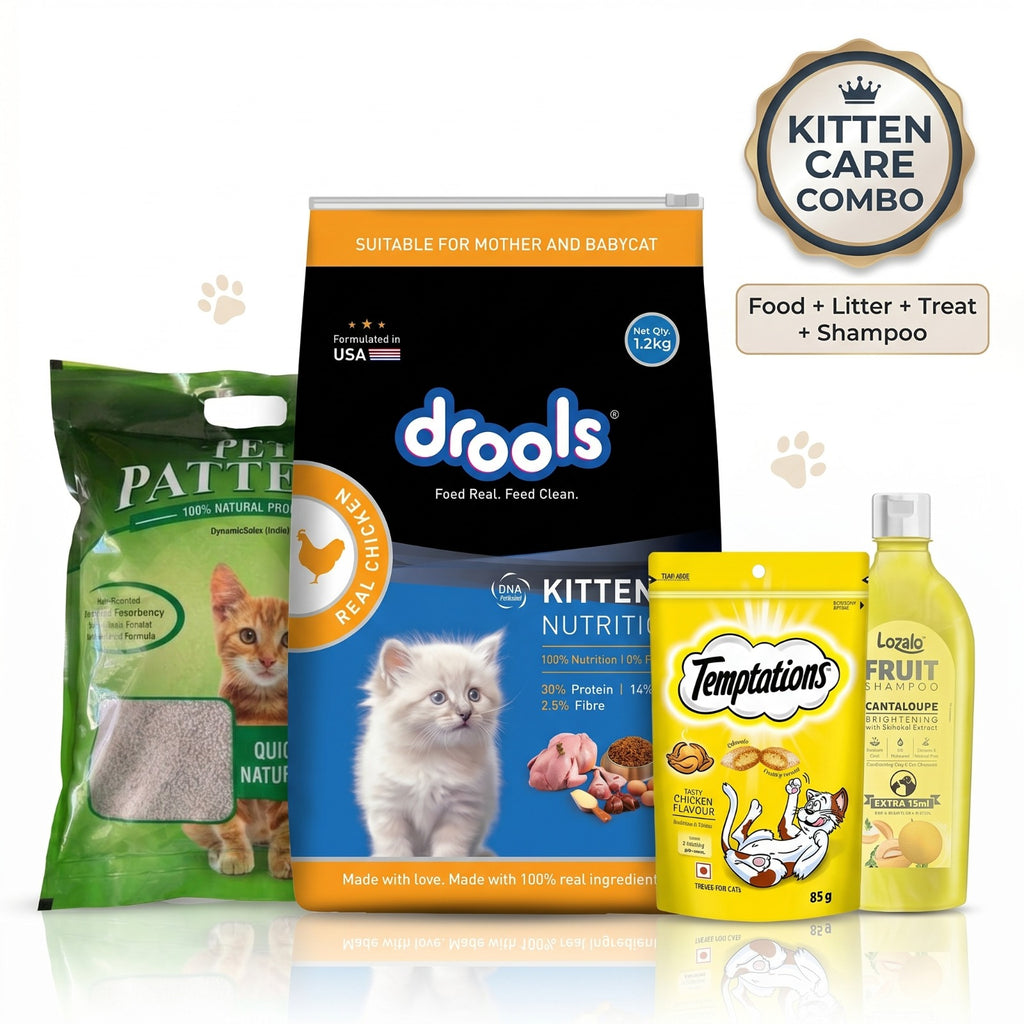 Complete Kitten Care Combo
Food | Litter | Treats | Grooming