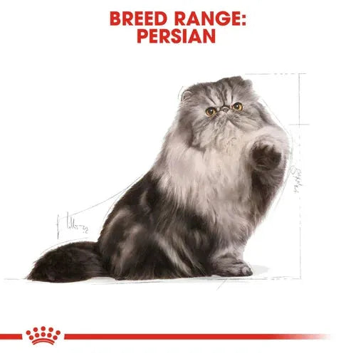 Royal Canin Persian Adult Cat Dry Food | 2 KG | 4 KG