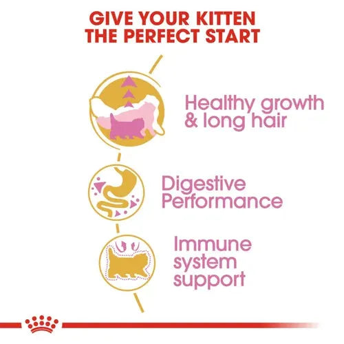 Royal Canin Persian Kitten Food Dry Cat Food | 2 KG | 4 KG
