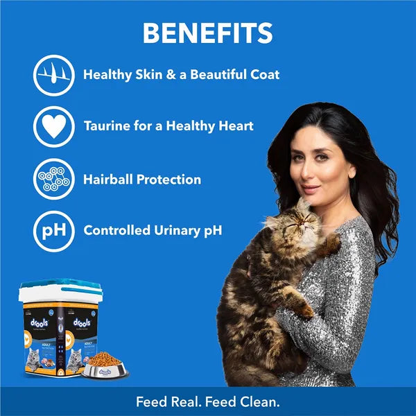 Drools Real Chicken Adult Cat Dry Food | 3 KG
